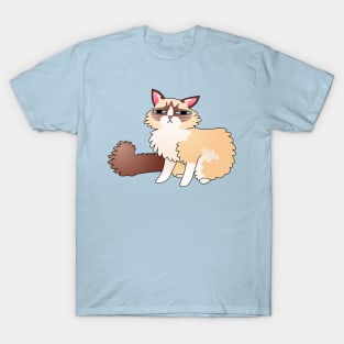 Slightly Suspicious Ragdoll Cat T-Shirt